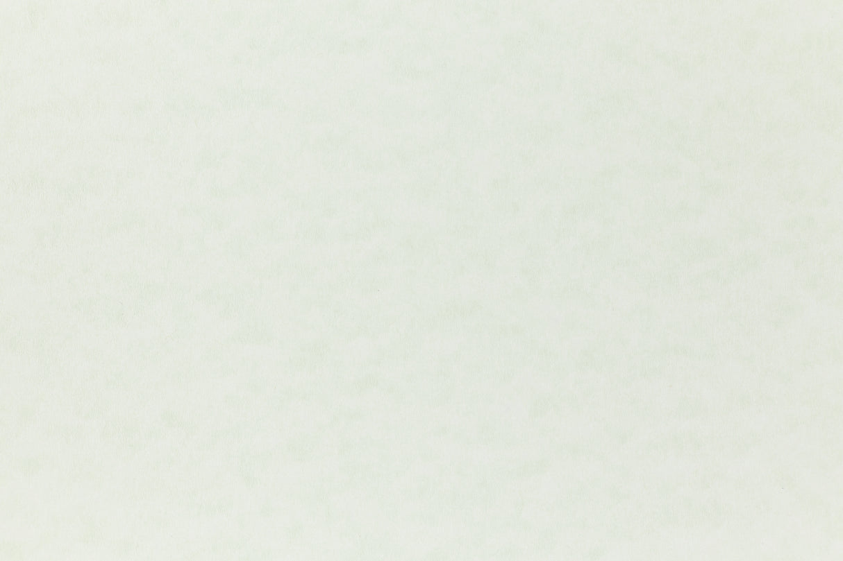 Light green cardstock paper for arts and crafts. 