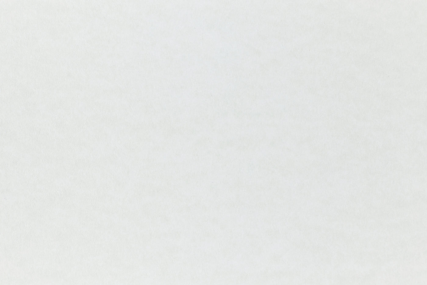 White cardstock paper with just a subtle hint of blue. 