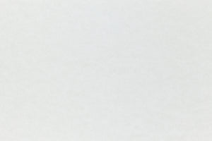 White cardstock paper with just a subtle hint of blue. 