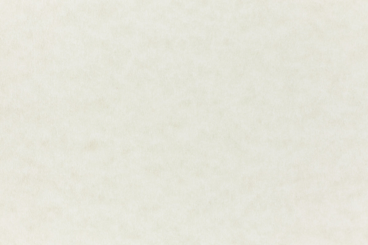 Parchtone Pattern French Parchtone Paper | Parchment Paper and Envelopes – French Paper