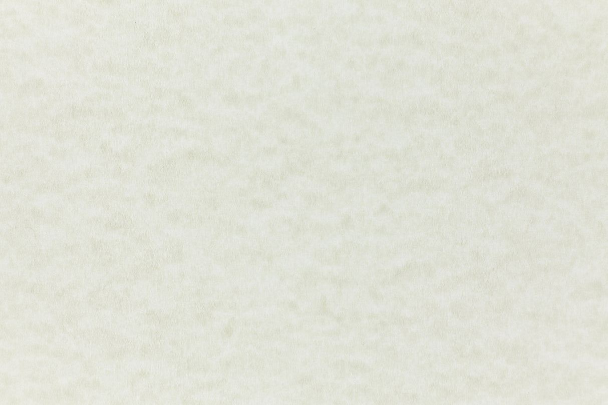 White cardstock with a hint of blue-green.