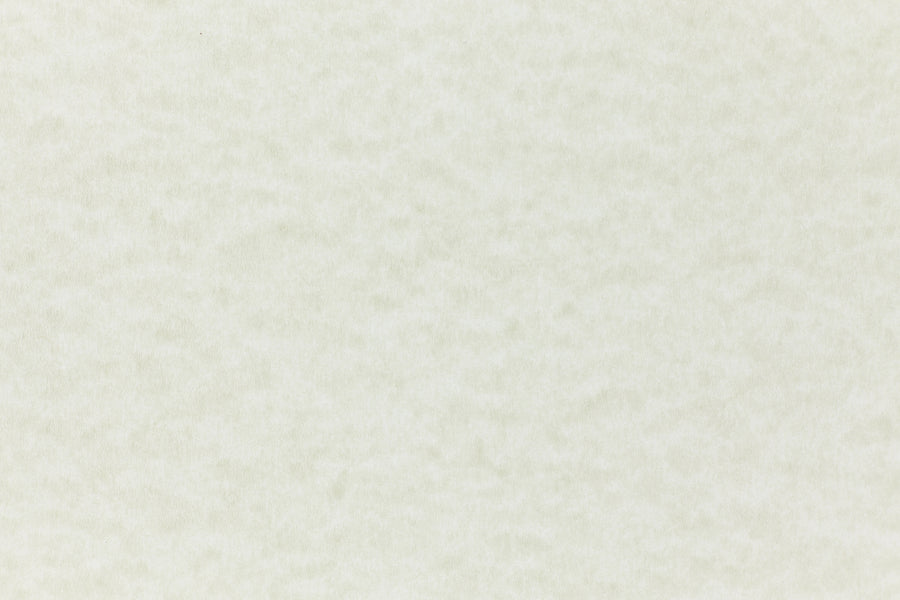 Sage Paper (Parchtone, Text Weight) – French Paper