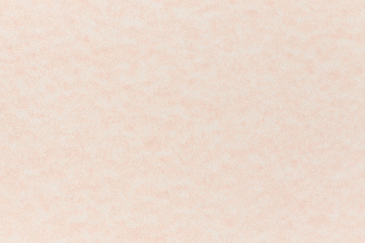 Salmon cardstock paper sample. 