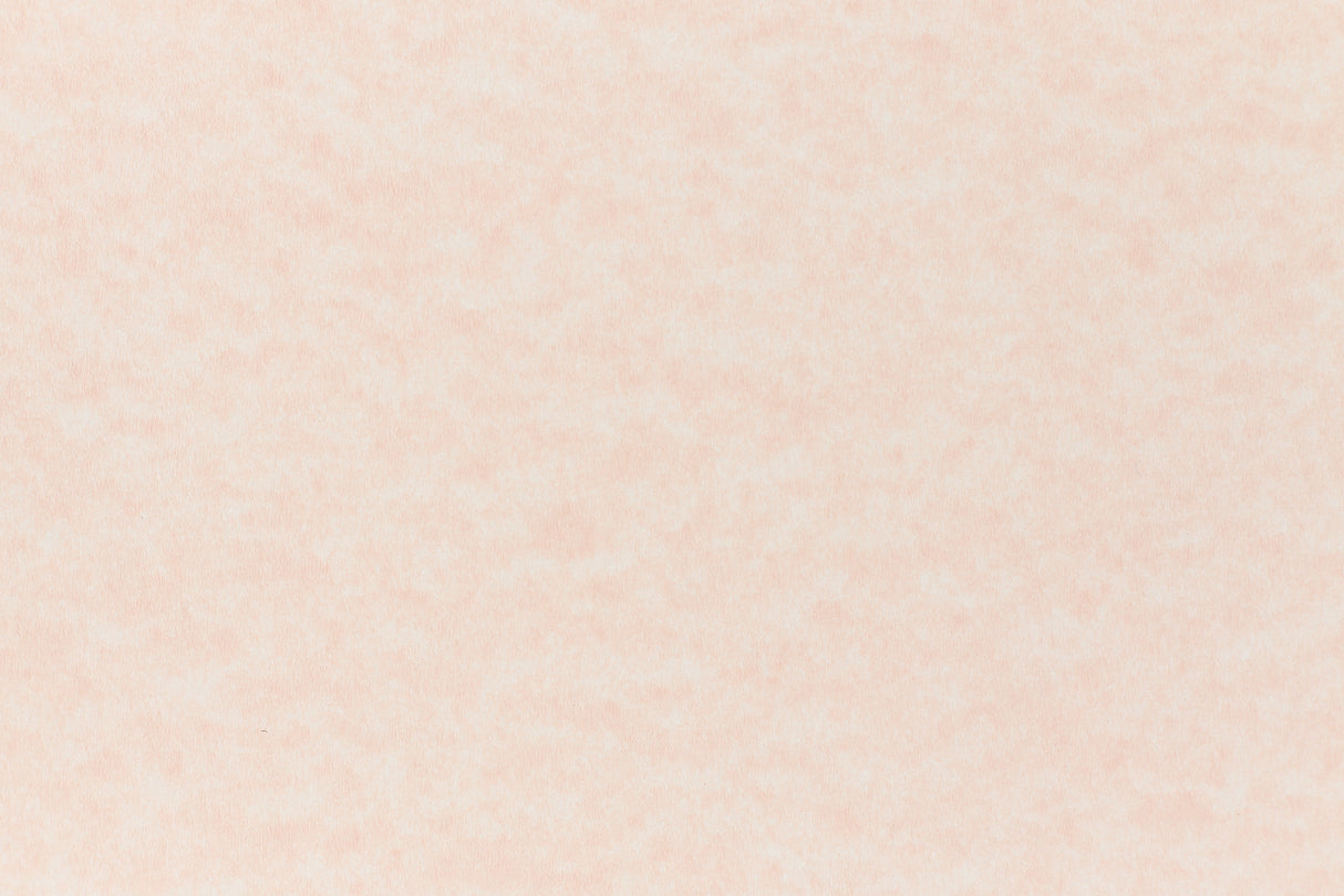 Salmon Paper (Parchtone, Text Weight)