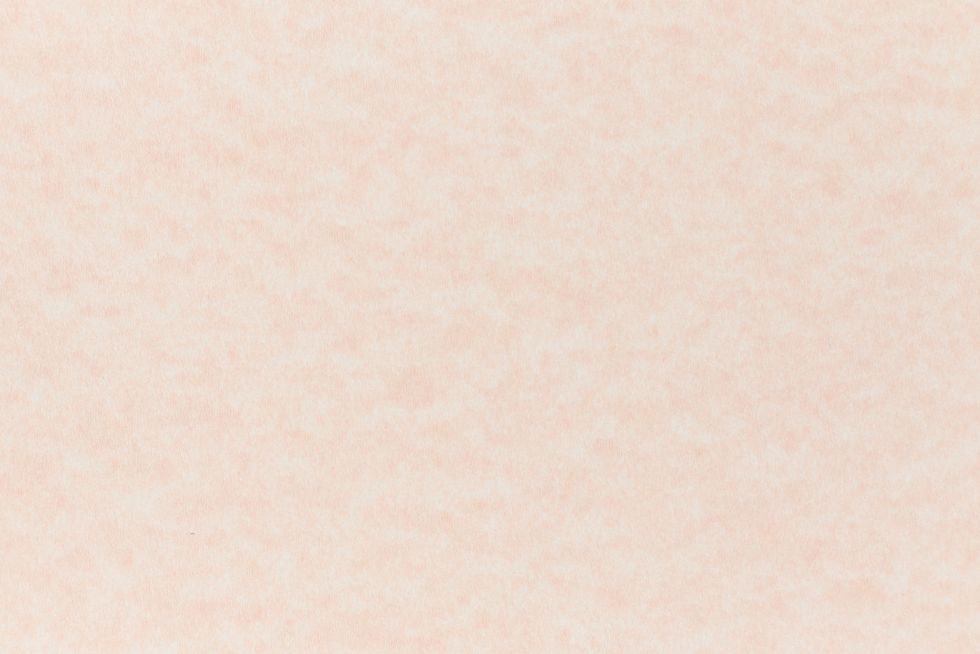 Salmon Paper (Parchtone, Text Weight)