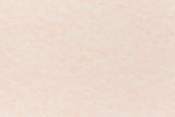 Salmon Envelope (Parchtone)