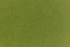 Candy green crafting paper. 