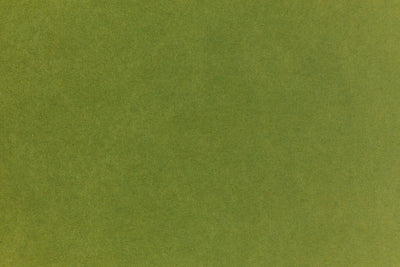 Candy green crafting paper. 