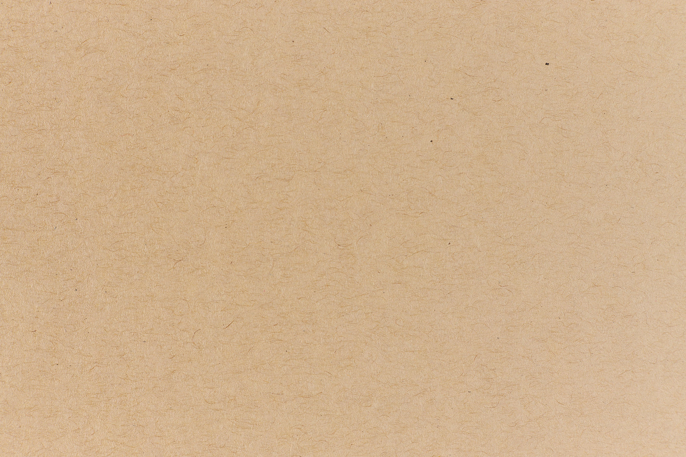 Kraft Envelope (Speckletone)