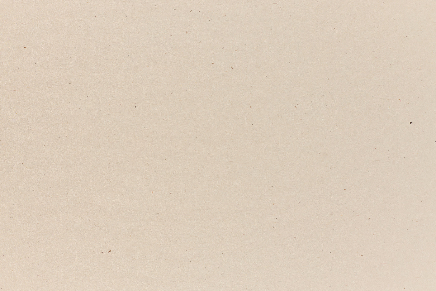 Natural Cardstock - White Cover Weight Paper - Speckletone – French Paper