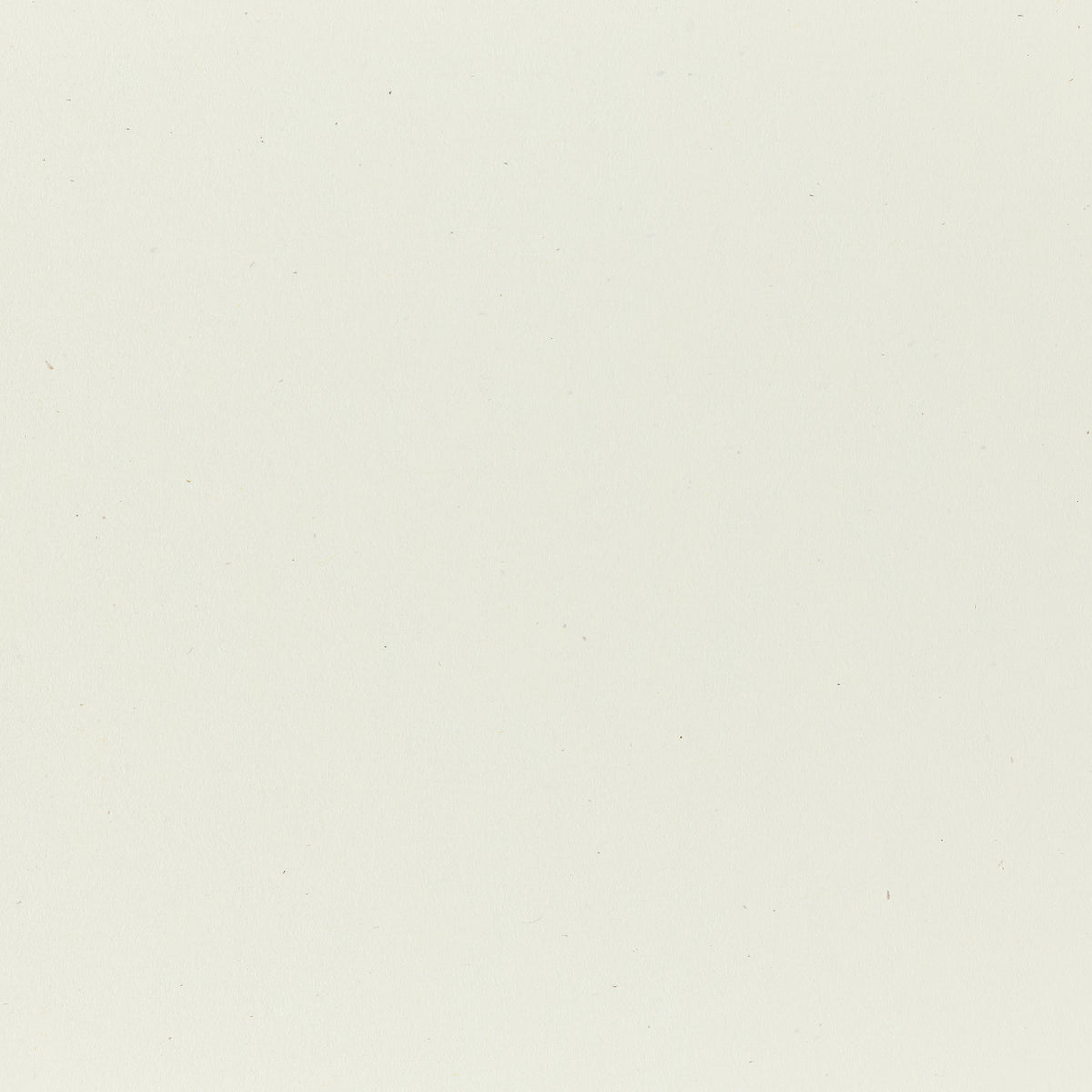 Starch Mint Paper (Speckletone, Text Weight) – French Paper