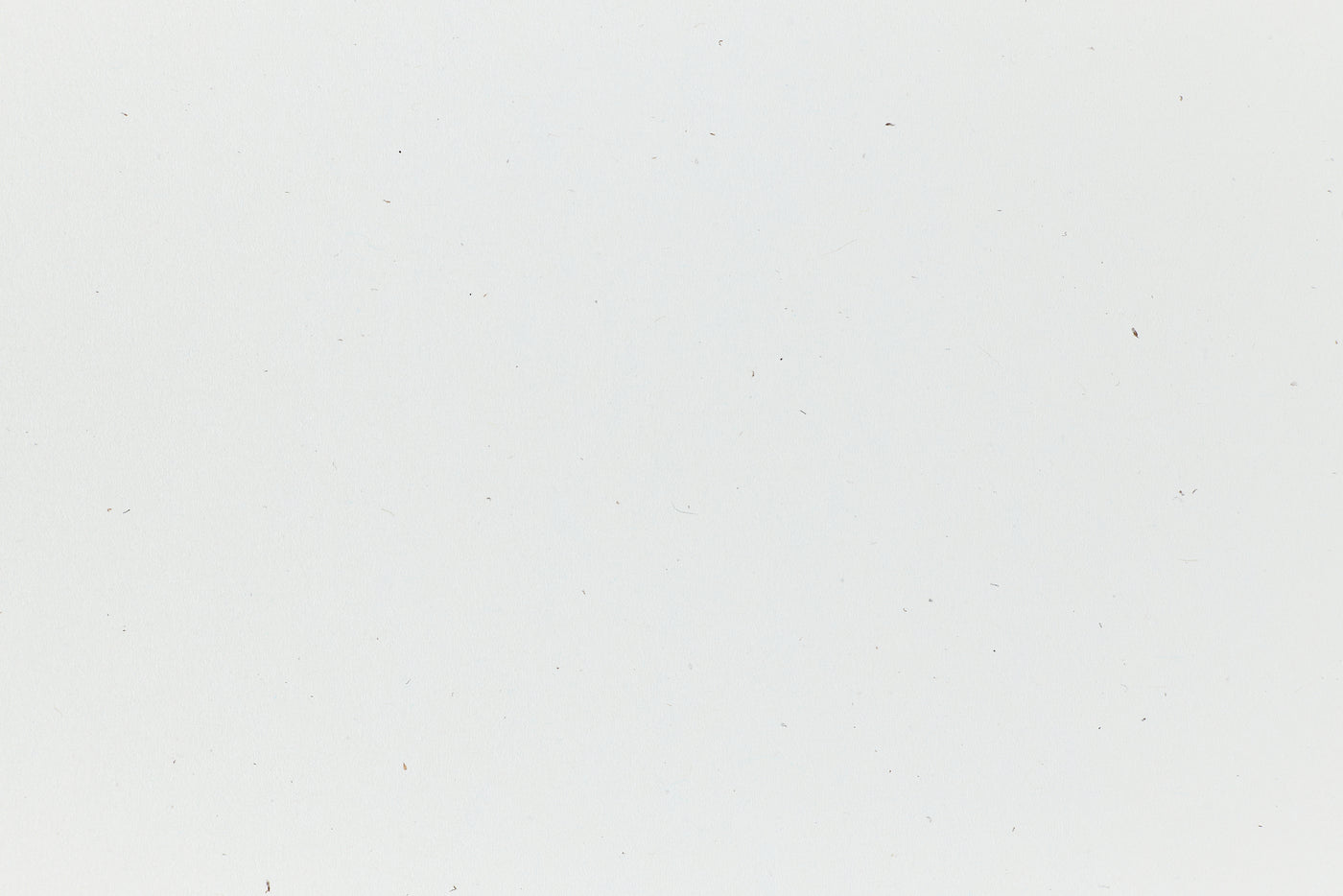White cardstock with hints of colored fiber. 