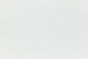 White cardstock with hints of colored fiber. 