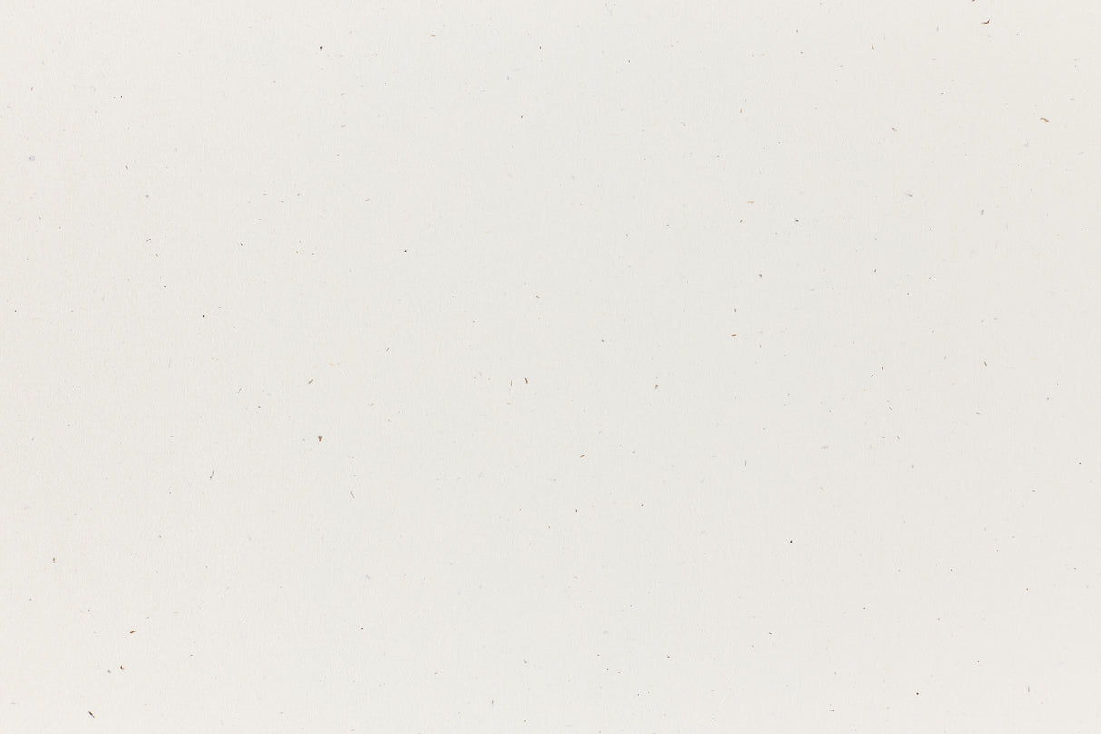 True White Envelope (Speckletone)
