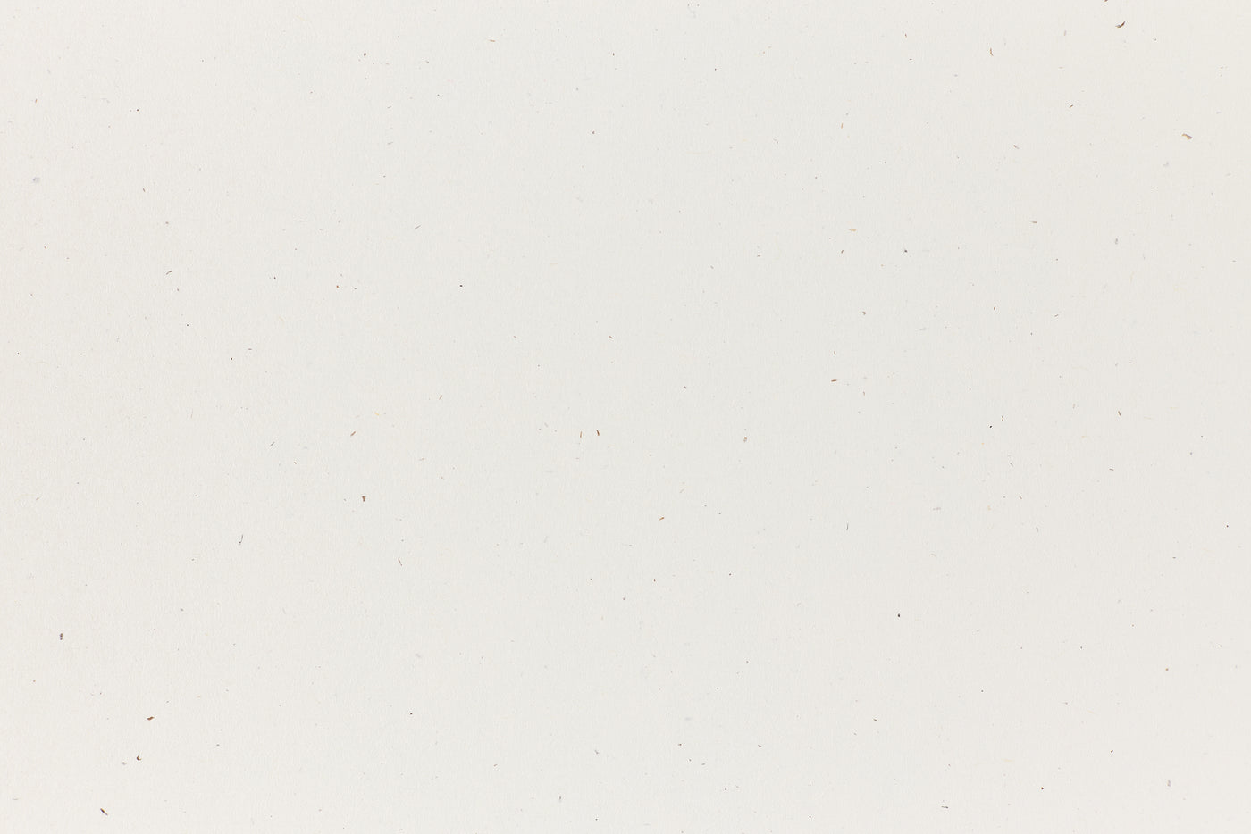 True White Paper (Speckletone, Text Weight)